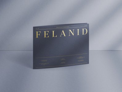 Bi-fold Brochure A4-A5 H 1 With Gold Foil